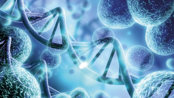 Il Microbioma secondo l’Āyurveda